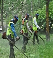 +корчевание +пней, вырубка деревьев +на участке,  +уборка +после +пожара, [уборка деревьев],