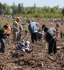 +Очистка +участка,  +покос +территории,  +удаление +пней +деревьев,  +выкорчевывание +пней +вырубка +деревьев +цена +киевская +область,
