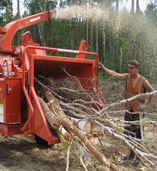 +удаление +травы на +участке,  +расчистка +участков от +деревьев,  +Спил +деревьев +расчистка +участка от +кустарника,  +очистка +участка от +деревьев,